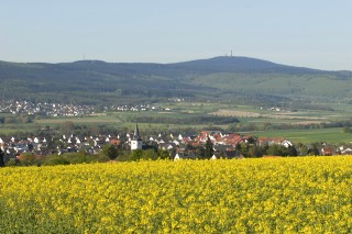 Bizzenbachtal, Blick auf den Feldberg