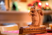 Das Stammtisch-Eichhörnchen im Bizzenbachtal