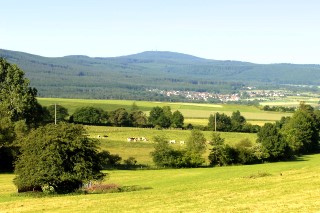 Bizzenbachtal, Blick über Wiesen und Felder im Taunus